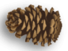 Captcha image 5528