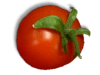Captcha image 5136