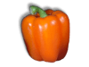 Captcha image 2503