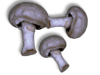 Captcha image 3926