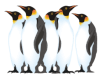 Captcha image 5756